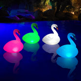 Goallim Swan pool light in water casts a tranquil backyard glow.