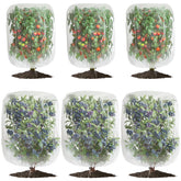 GonLei garden netting 6-pack protects fruit from birds and pests.