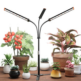 GooingTop Grow Light with full-spectrum 5000K light supports healthy indoor plant growth.