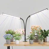 GooingTop grow light LED gooseneck lamp delivers full-spectrum illumination for thriving indoor seedlings.