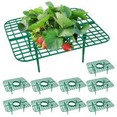 GOONMILL strawberry plant support stand assembled for stable growth.