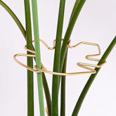 Goooxim Monstera stem support clips provide sturdy backing for climbing plants