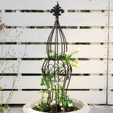 Goooxim Obelisk Trellis - easy assembly for quick vertical gardening indoors or on patios.