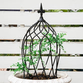 GOOOXIM obelisk trellis being assembled for quick setup.