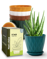 Goproauto 6-inch planter with drainage hole, ideal for indoor herbs and moisture control.