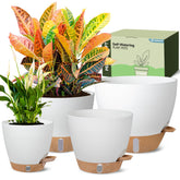 Goproauto self-watering 6-inch pot with water reservoir for steady moisture