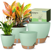 Goproauto 6 inch pot with water level indicator for easy moisture checks.
