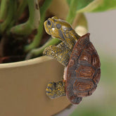 Gosknor tortoise figure plant pot hanger grips pot edge, adding playful outdoor or indoor charm.