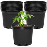 GREANER nursery pots set of 15 with 7 inch design ideal for seedling start