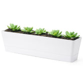 GREANER white rectangle window box planter on a sunny balcony for herbs