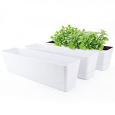 GREANER window boxes planters on a sunny windowsill for herbs