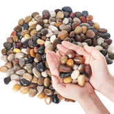 GreatBuddy River Rocks 1 to 1-3/4 inch close-up display vibrant color accent