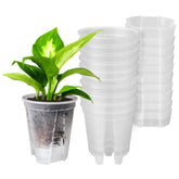 GREENPARA self-watering pot with see-through design for easy root and moisture monitoring.