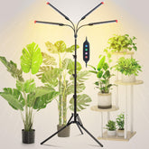 GroCruiser 4Head grow light on its stand next to tall indoor plants for stable setup