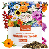 Groundio all-perennial wildflower seeds in a 26-variety mix for vibrant pollinator beds.