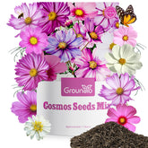 Groundio Cosmos Seeds Wildflower Mix 1oz pack ready for spring planting to attract pollinators