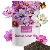 Groundio Cosmos Seeds Wildflower Mix pack showing fresh seeds ready for sowing