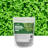 Groundio mini white clover seeds in a bag, ideal for a low-maintenance lawn option.
