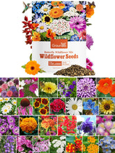 Groundio Wildflower Seeds Bulk front packaging with resealable pouch for freshness.