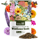 Groundio wildflower seeds mix in 1oz package ready for pollinator-friendly garden