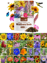 Groundio Wildflower Seeds Mix bag front showcases 28 varieties for pollinator-friendly gardens