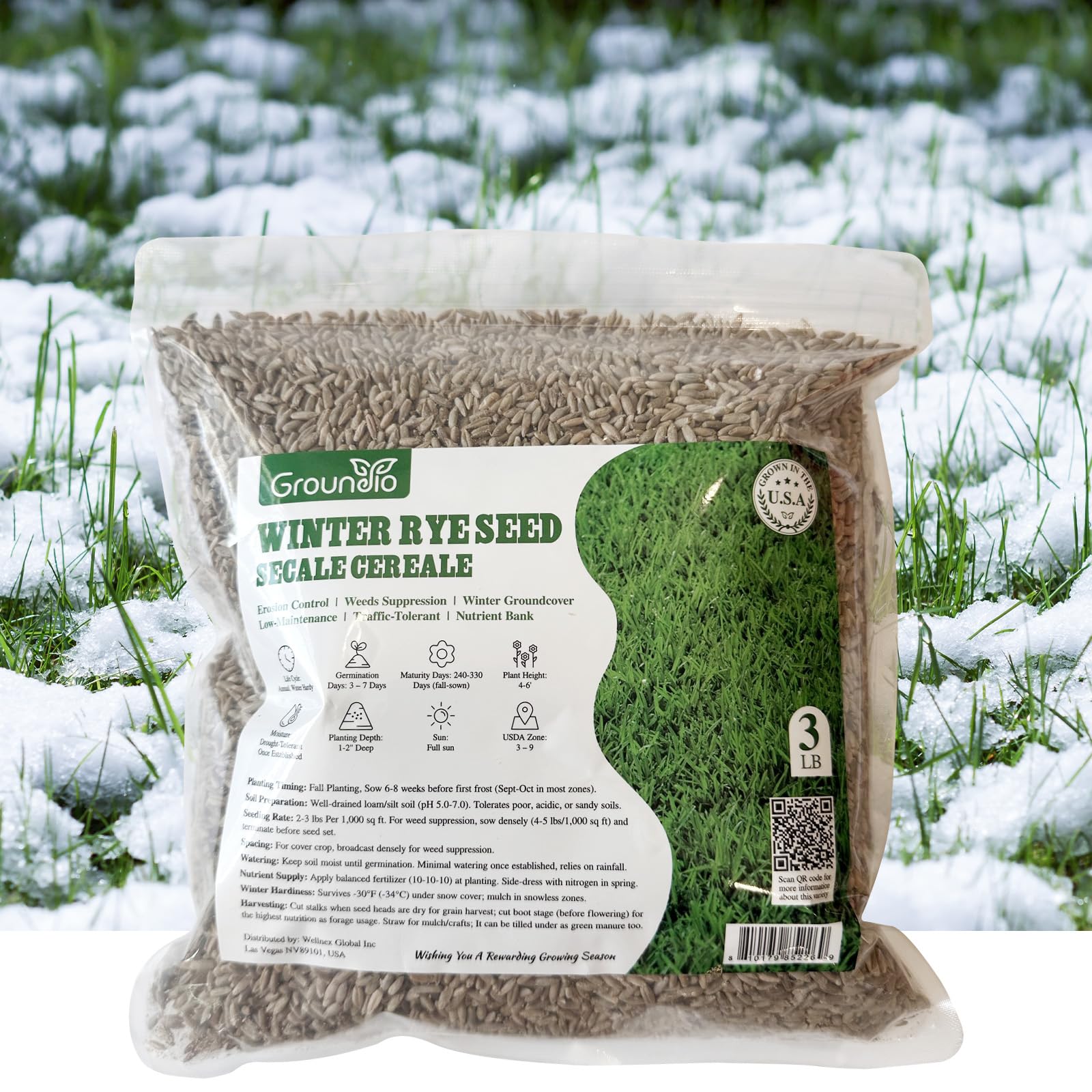 Groundio winter rye seeds for lawn replacement with rapid ground cover.
