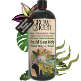 Grow Queen kelp bottle front view for organic plant nutrition.