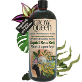 Grow Queen Organic Liquid Kelp Bottle boosts vigorous indoor plant growth