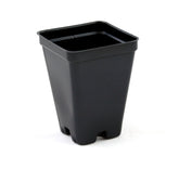 Grower's Solution 2.5-inch square pot top view with drainage holes, ideal for cuttings.