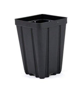Grower's Solution square greenhouse pot, deep 3.5 inches, black, ideal for cuttings and long-term growth.