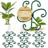 Growia 6-pack metal plant stem supports closeup, providing firm support for climbing plants.
