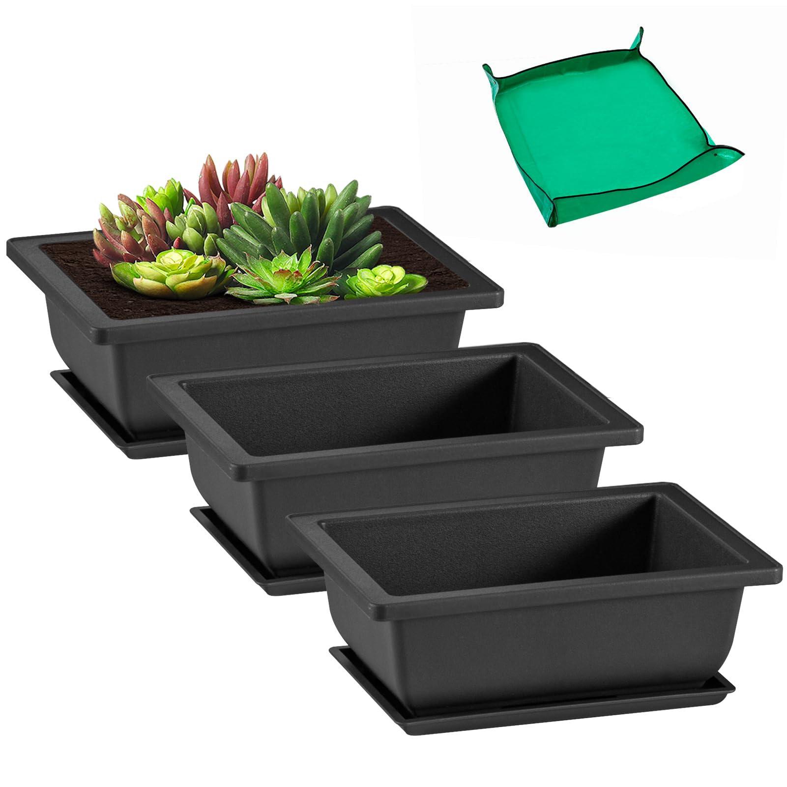 GROWNEER 3-piece 6.5in bonsai pots with drainage for healthy root airflow.
