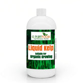 GS Plant Foods Liquid Kelp bottle pour demonstrates easy dilution for garden feeding.