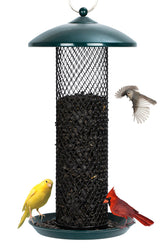 Gtongoko bird feeder exterior in green metal mesh provides weather-resistant 2.5 lb capacity.