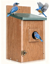 Gtongoko blue bird house with 1-1/2 inch entrance hole for bluebirds