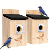 Gtongoko bluebird nesting box with metal guard protecting nestlings.