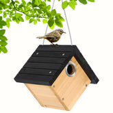 Gtongoko hanging wren bird house on branch for easy wildlife watching.