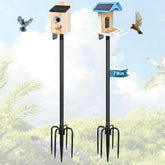 Gtongoko smart bird feeder pole 79-inch height for elevated backyard viewing.