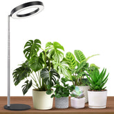 GTRUIIDY desktop grow light base provides stable support for desk plants.
