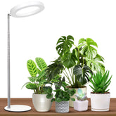 GTRUIIDY Desktop Grow Light overview shows full spectrum illumination for indoor plants