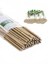 Guangye bamboo post 4ft provides stable vertical support for tomato and bean plants