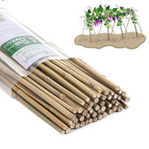 Guangye Plant Bamboo Post 4-8 feet provides sturdy plant support for tall varieties