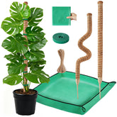 GUIDOT moss pole supports monstera for steady upward growth and moisture balance.