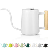 GUKJOB stainless steel watering can with long spout for precise indoor plant care