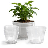 Gute clear 6 inch nursery pot with transparent walls for easy root monitoring