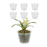 Gyfofix 6-pack orchid pot top view showing clear walls for root observation and airflow.
