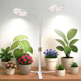 GYTF Grow Light Dual Ring 3.5in base provides stable support for desktop plants.