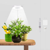 GYTF Halo grow light with 6000K circle LEDs supports indoor seedling growth.