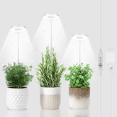 GYTF Halo grow light base supports a stable indoor setup.