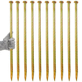 Hacaroa 10-pack rebar stakes with a 1-inch top for secure rope and strap holds.
